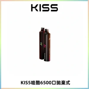KIS5WAGOO哇酷6500口拋棄式 | 自由混搭雙口味 | 雙芯組合